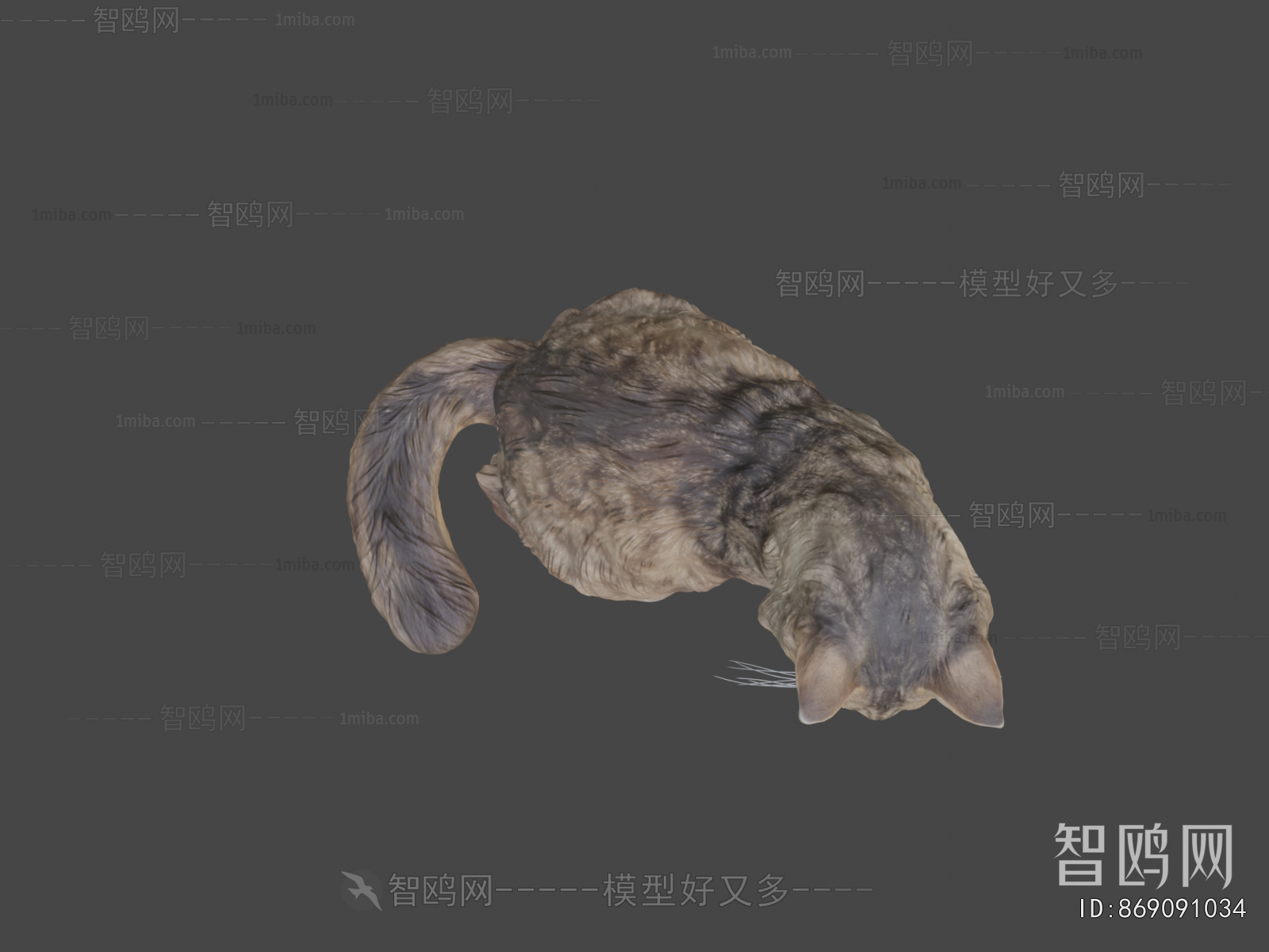 Modern Animal Cat