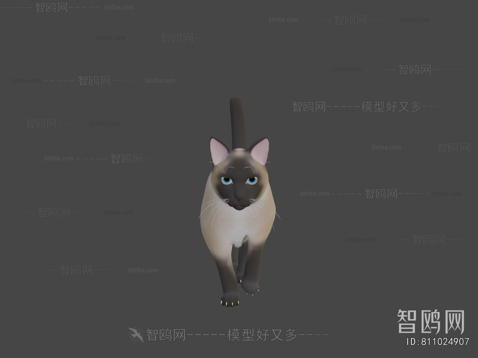 Modern Animal Cat