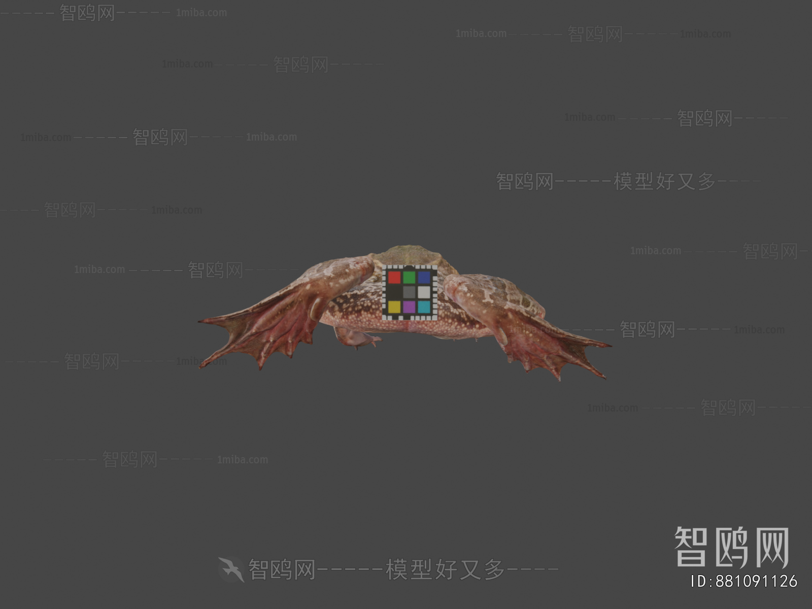 Modern Animal