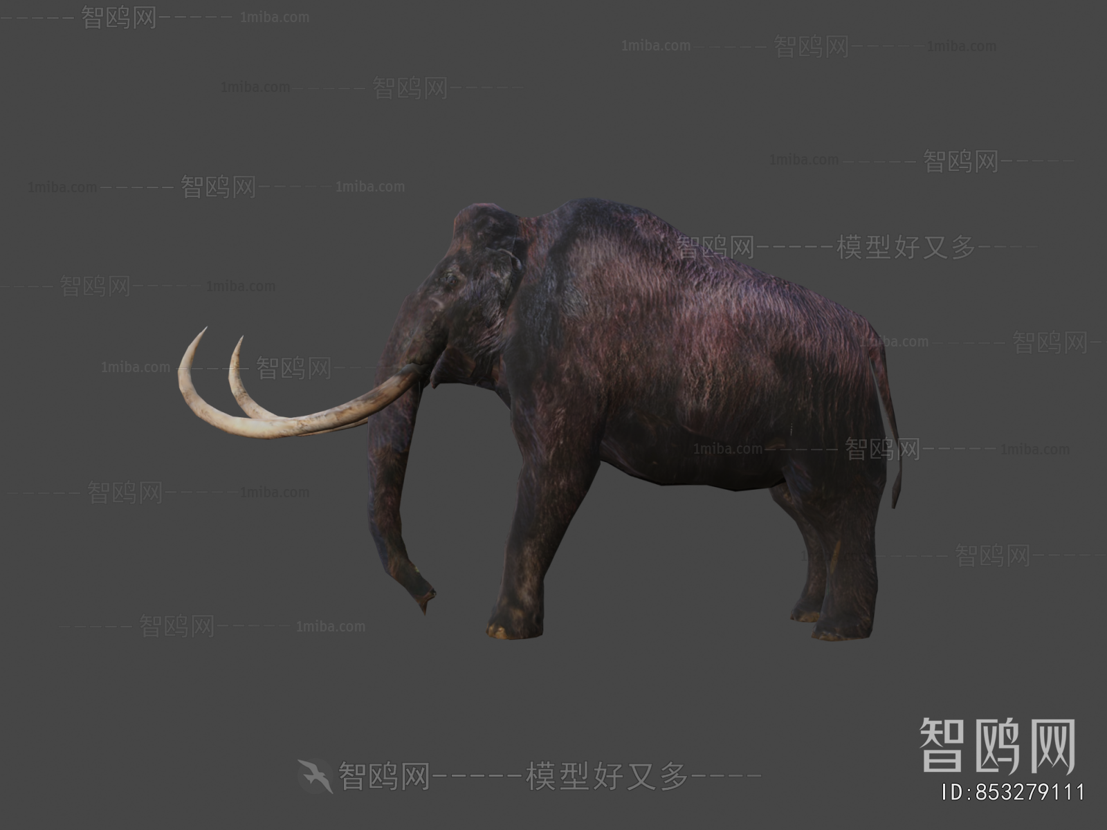 Modern Mammal