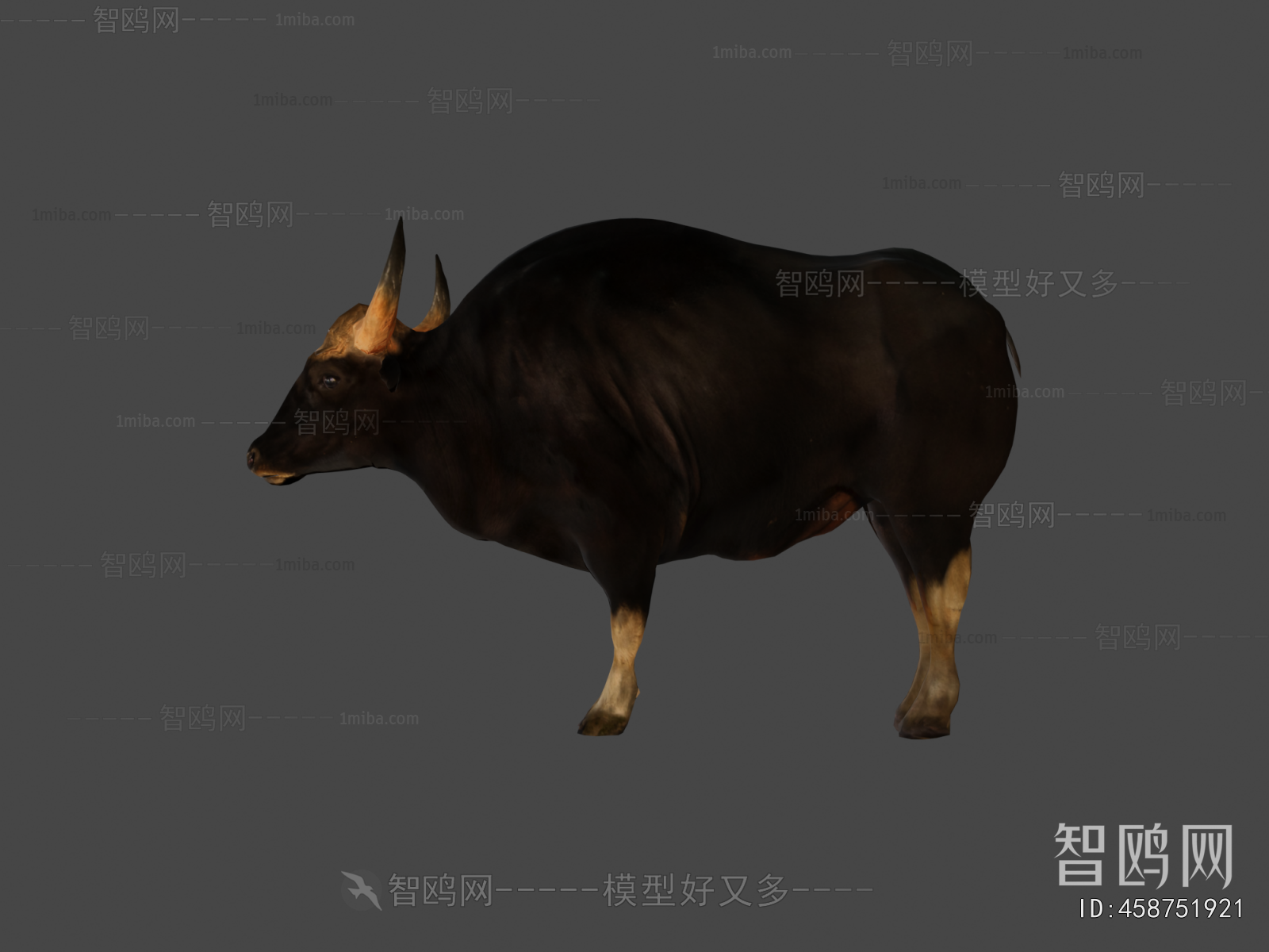 Modern Mammal