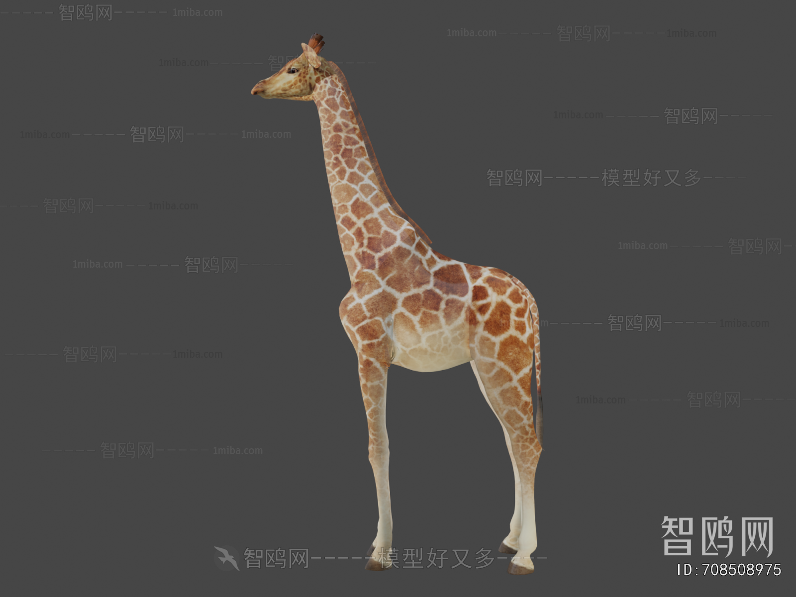 Modern Mammal