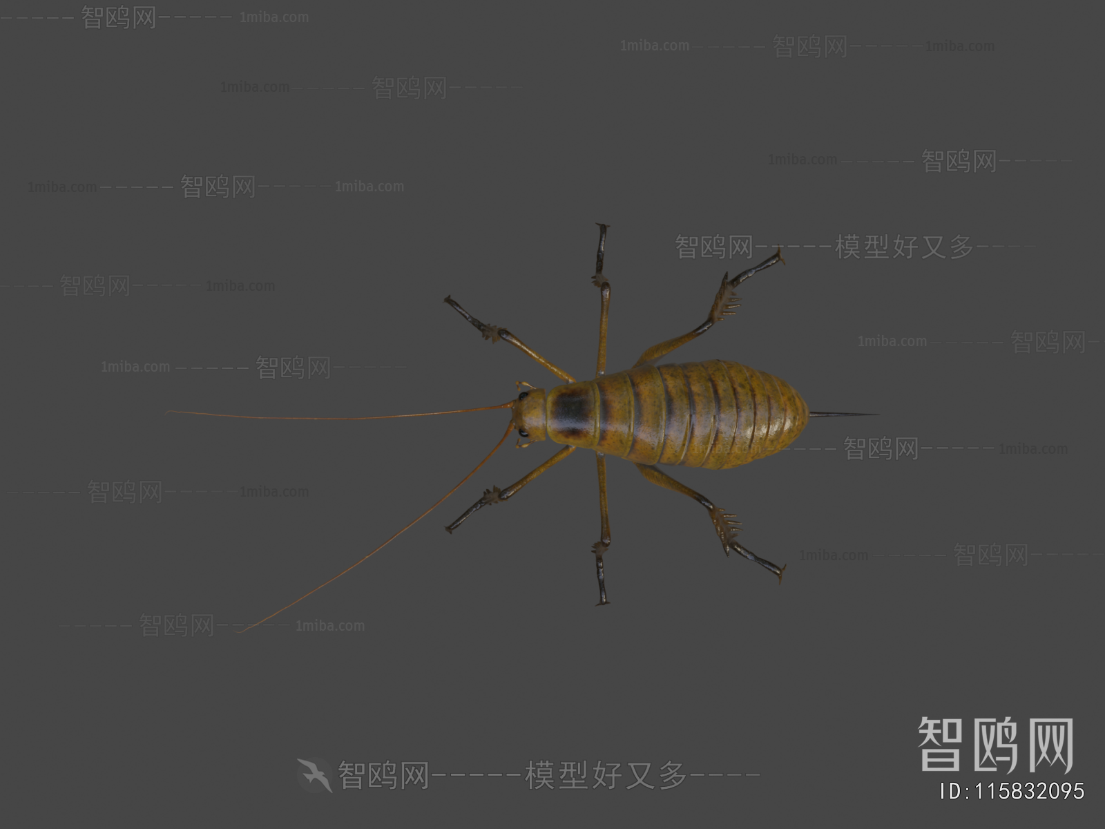 Modern Animal