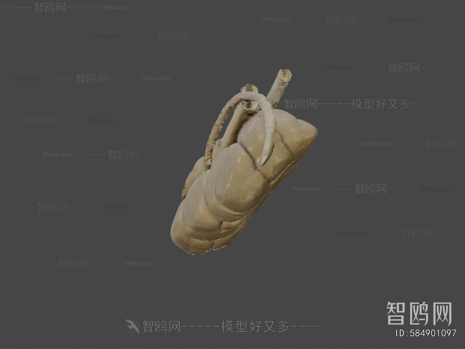 Modern Medical Equipment