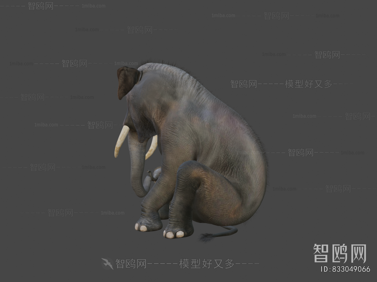 Modern Animal