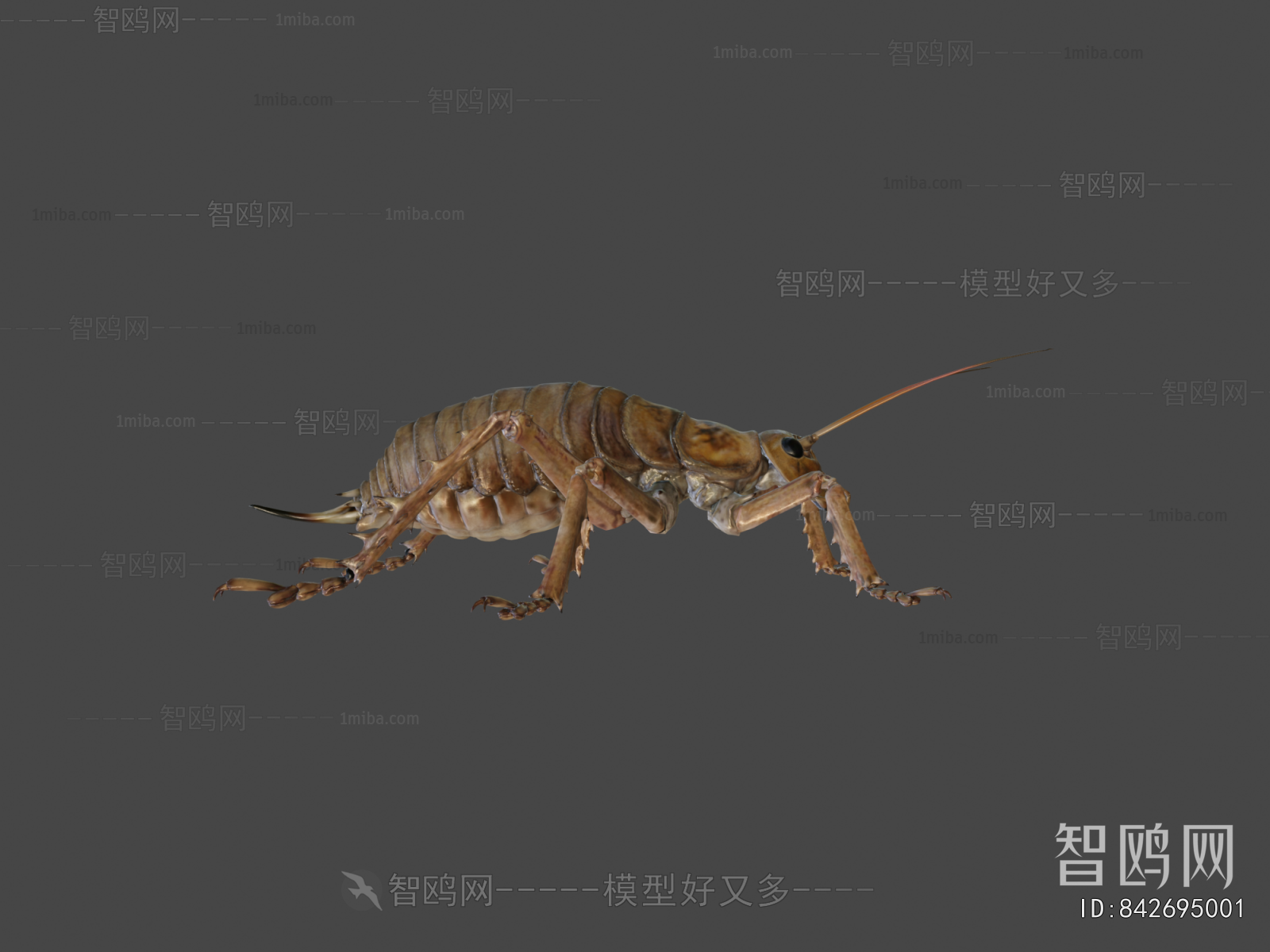 Modern Animal