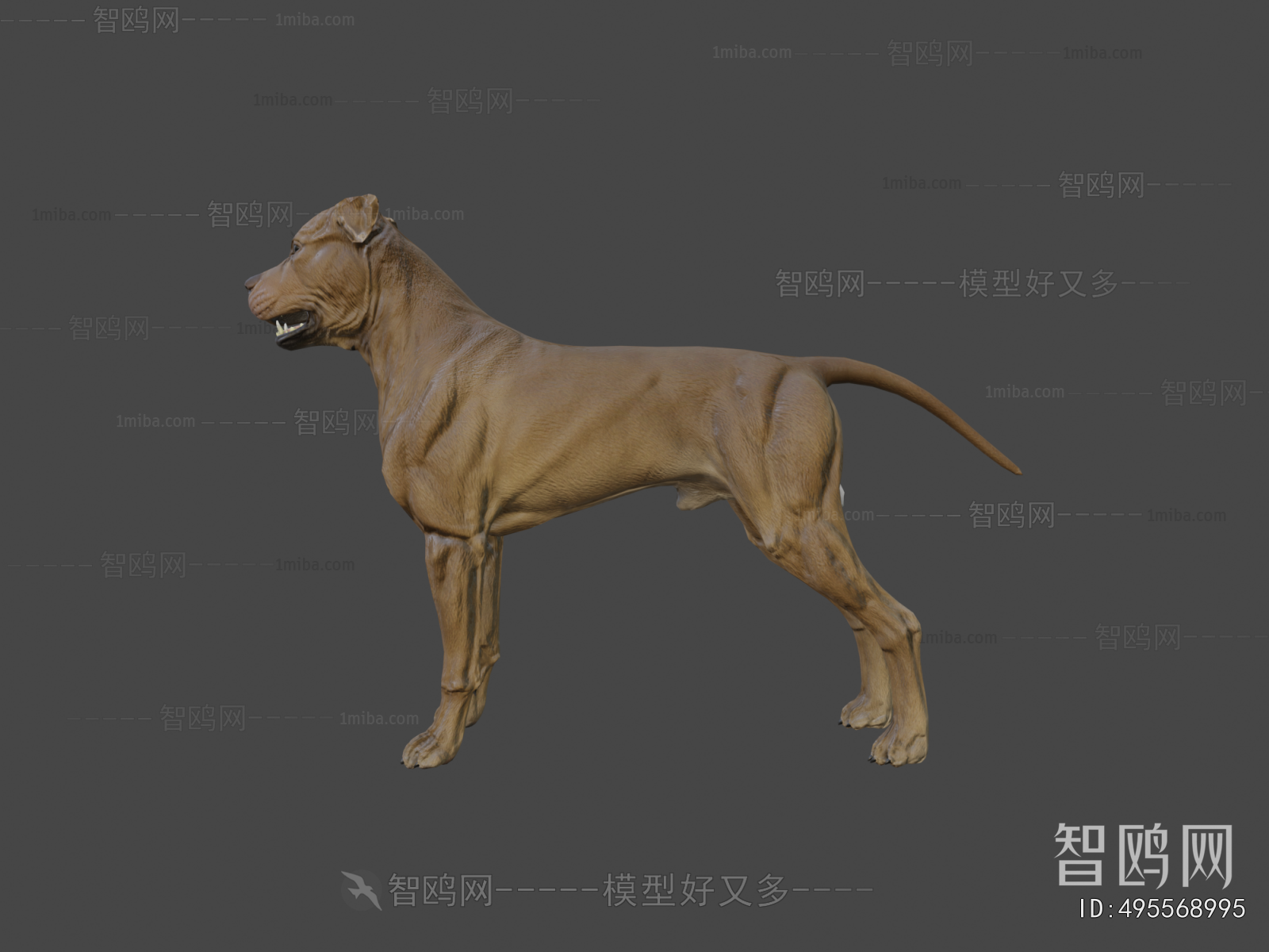Modern Animal Dog