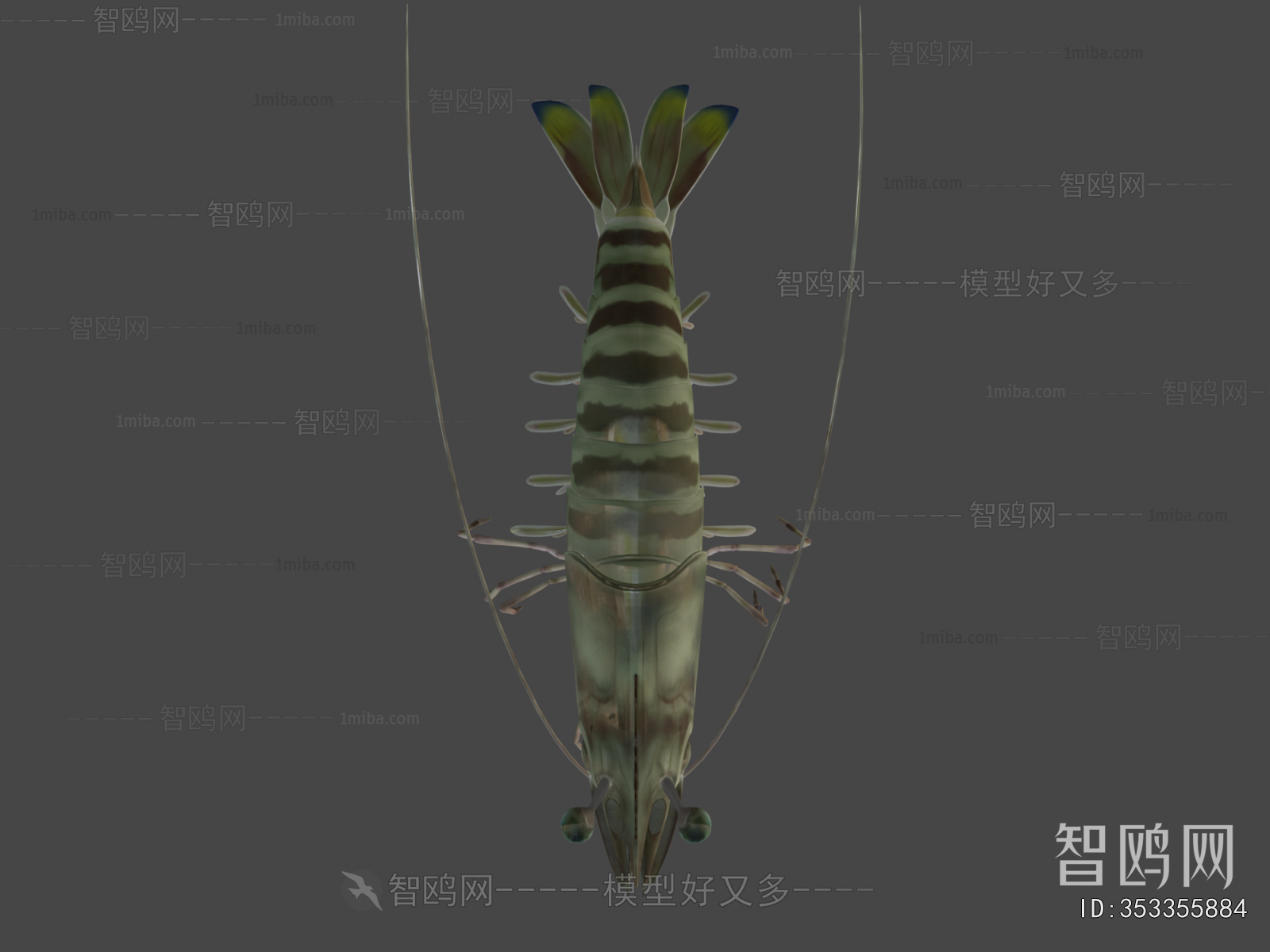 Modern Animal