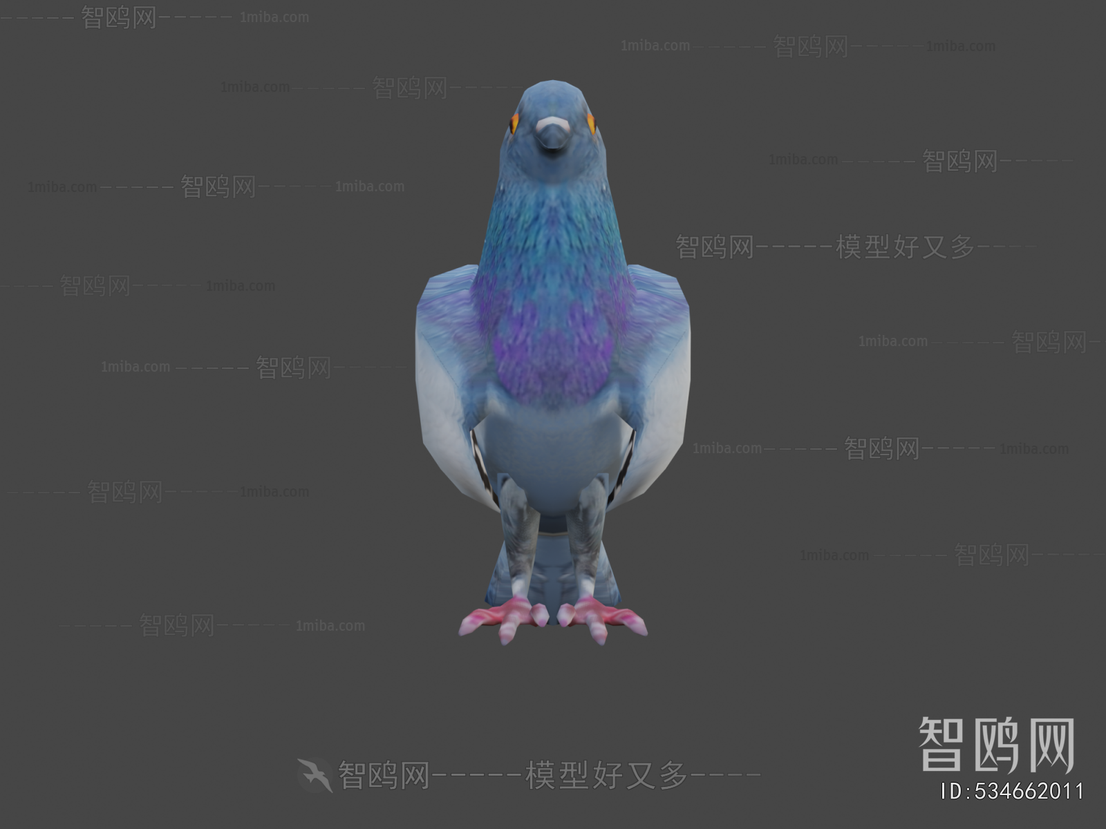 Modern Animal