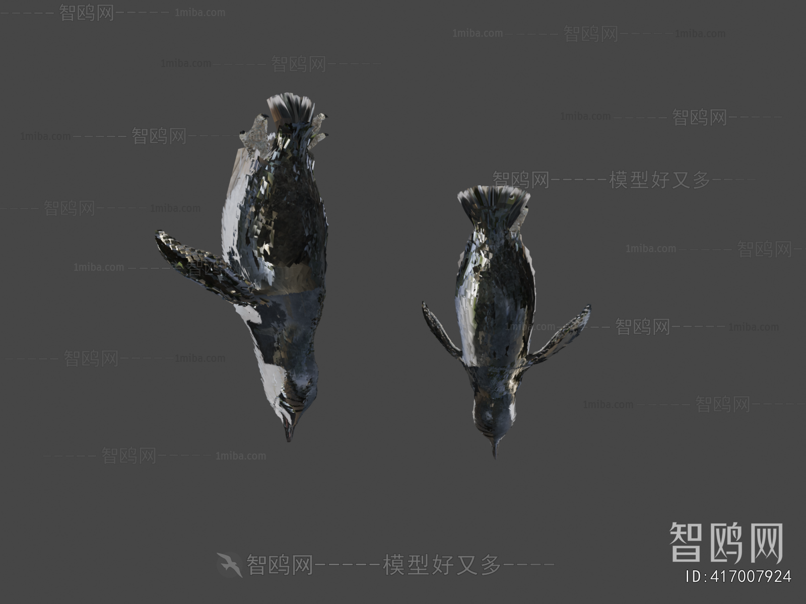 Modern Animal