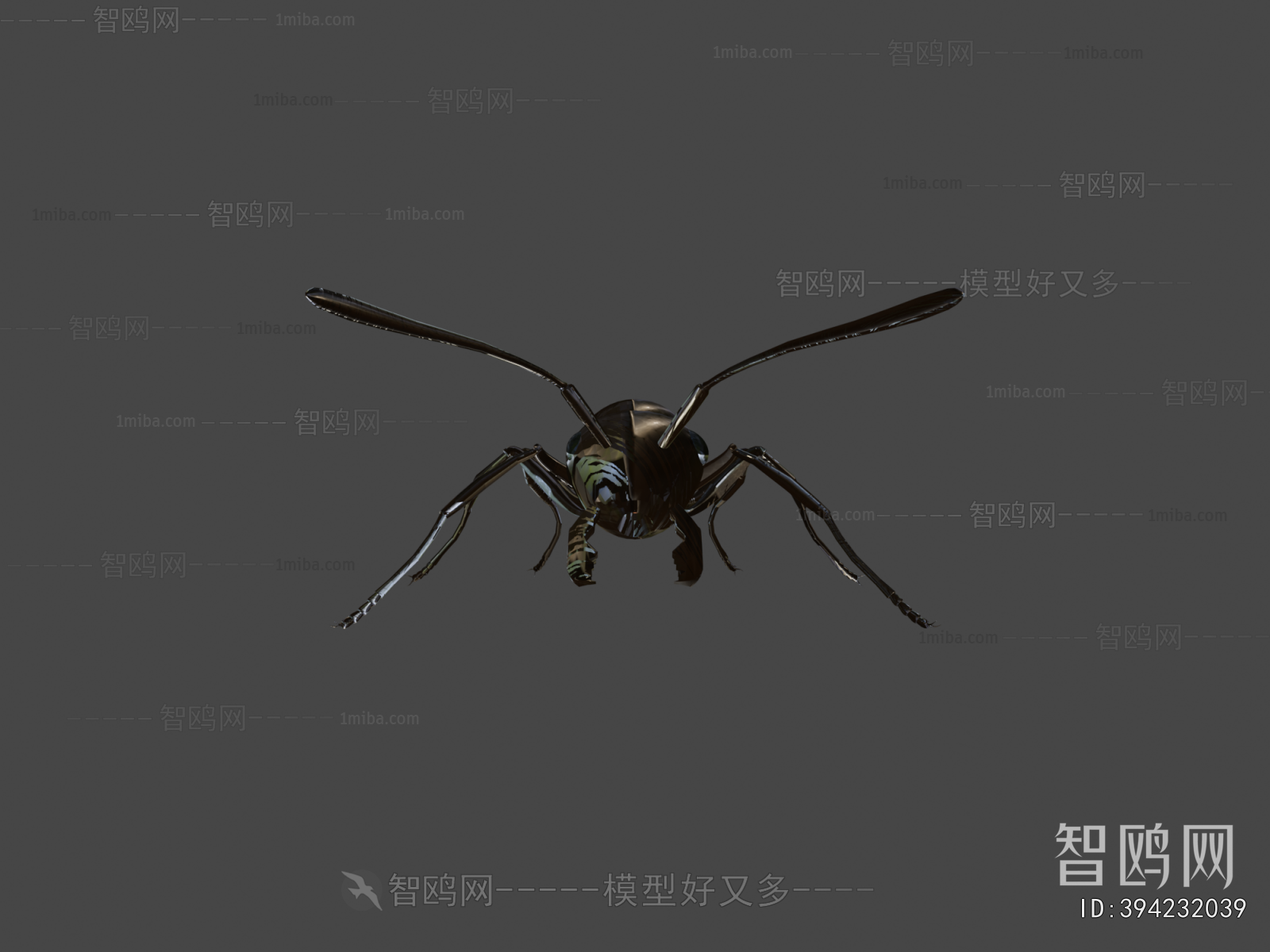 Modern Animal