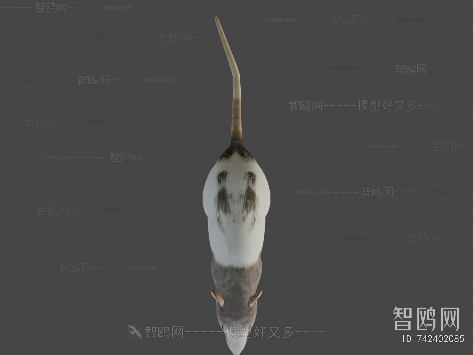 Modern Animal