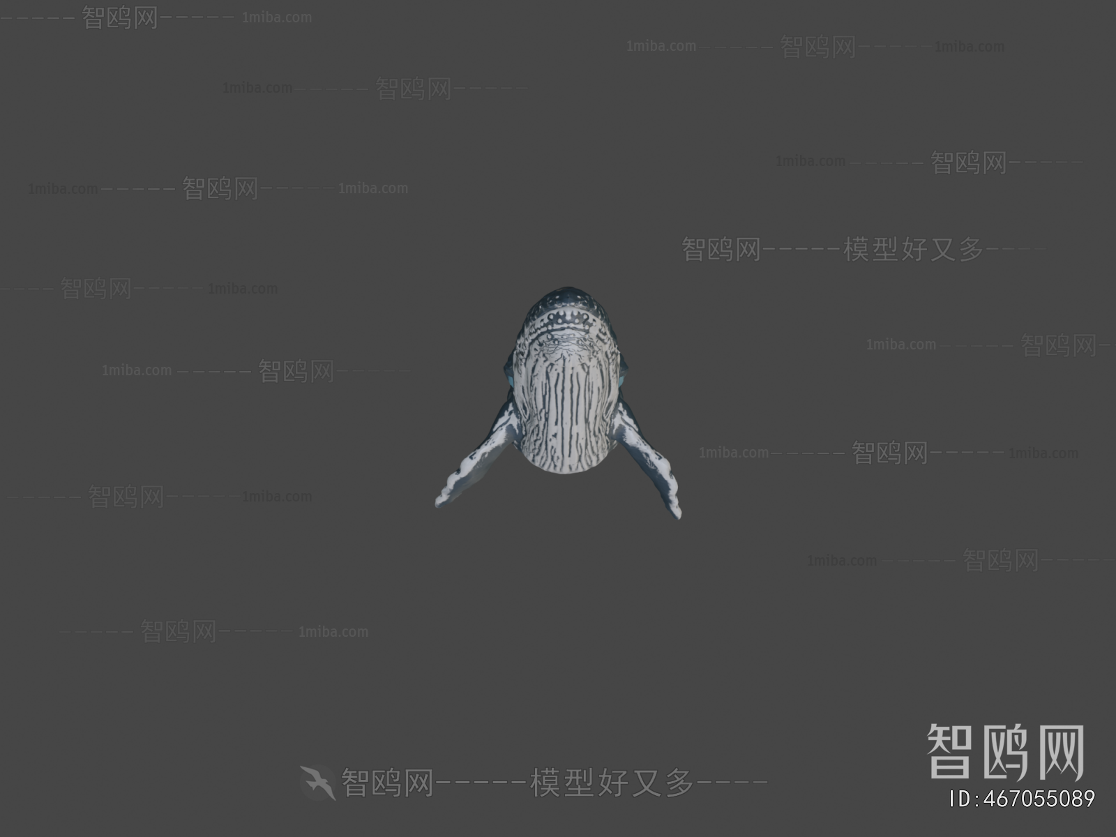Modern Animal