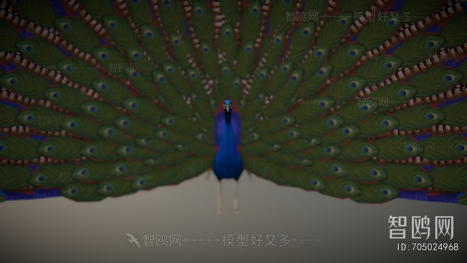 Modern Animal