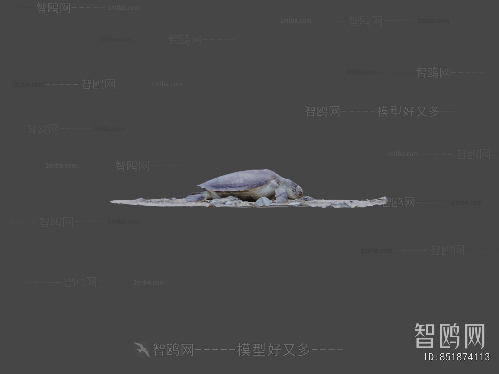 Modern Aquatic Animals
