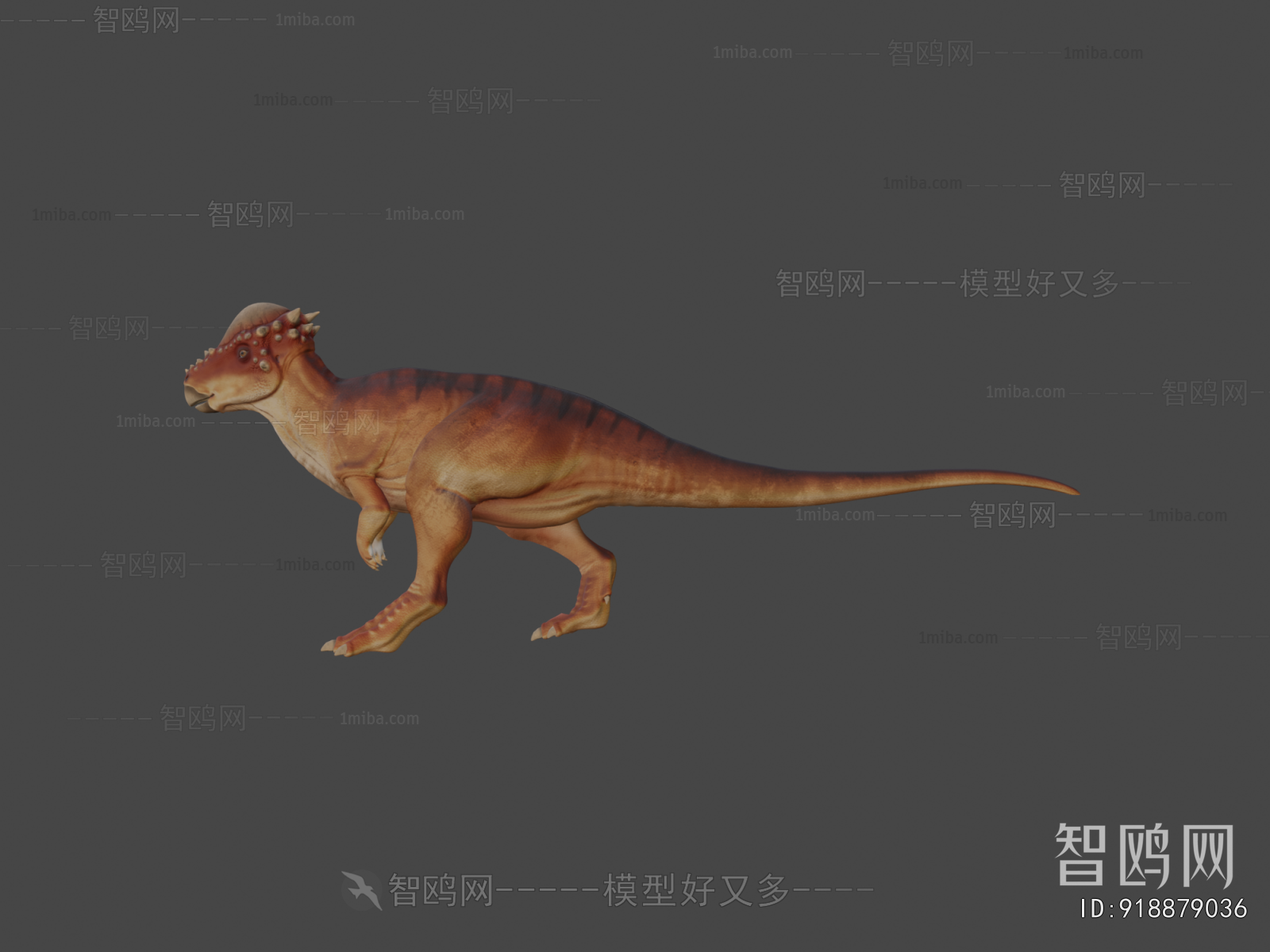 Modern Animal