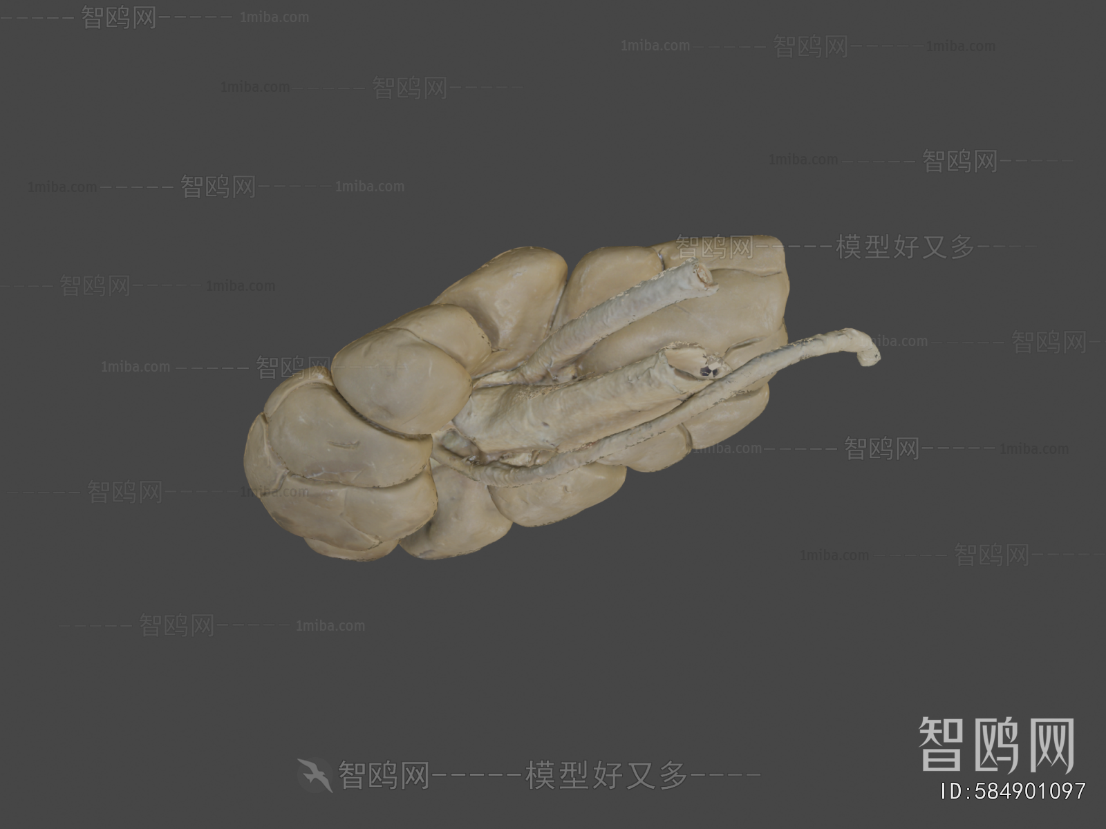 Modern Medical Equipment