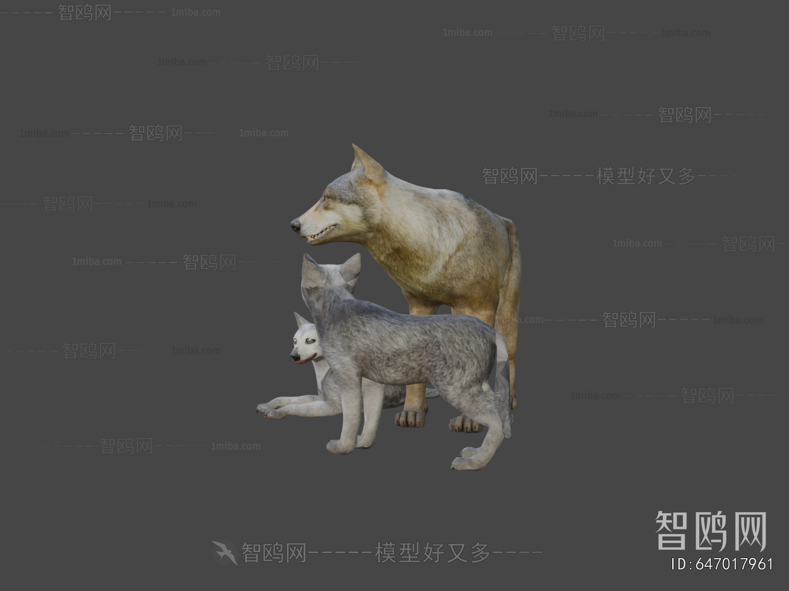 Modern Mammal