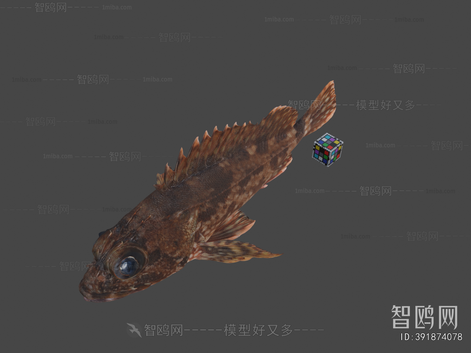 Modern Animal