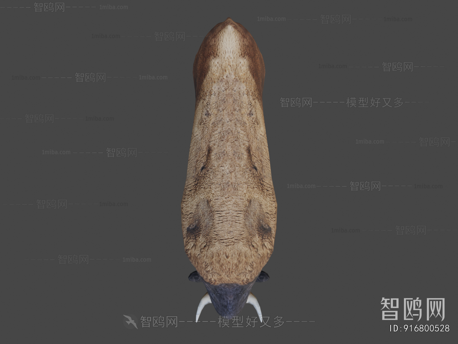 Modern Animal