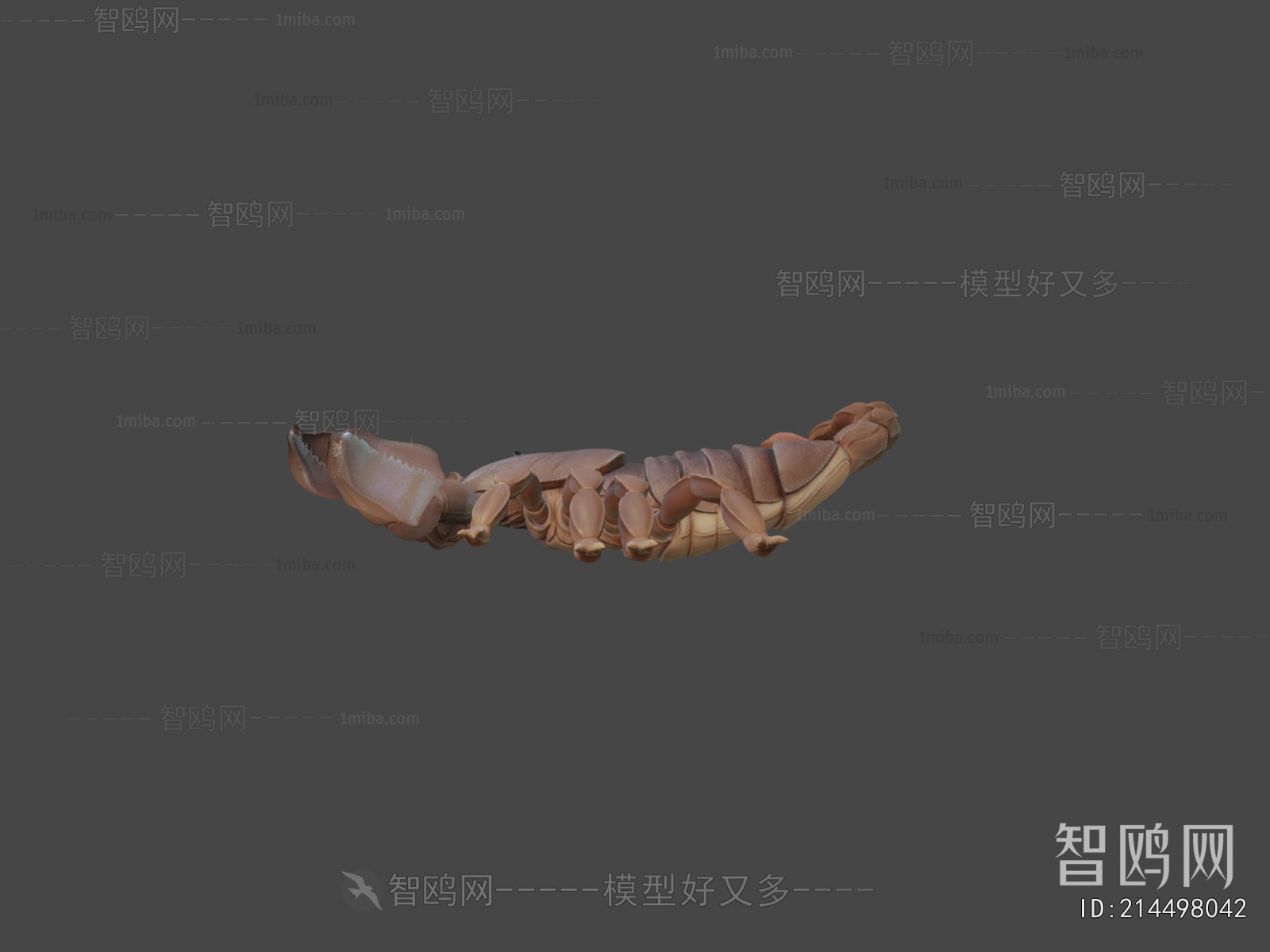 Modern Animal