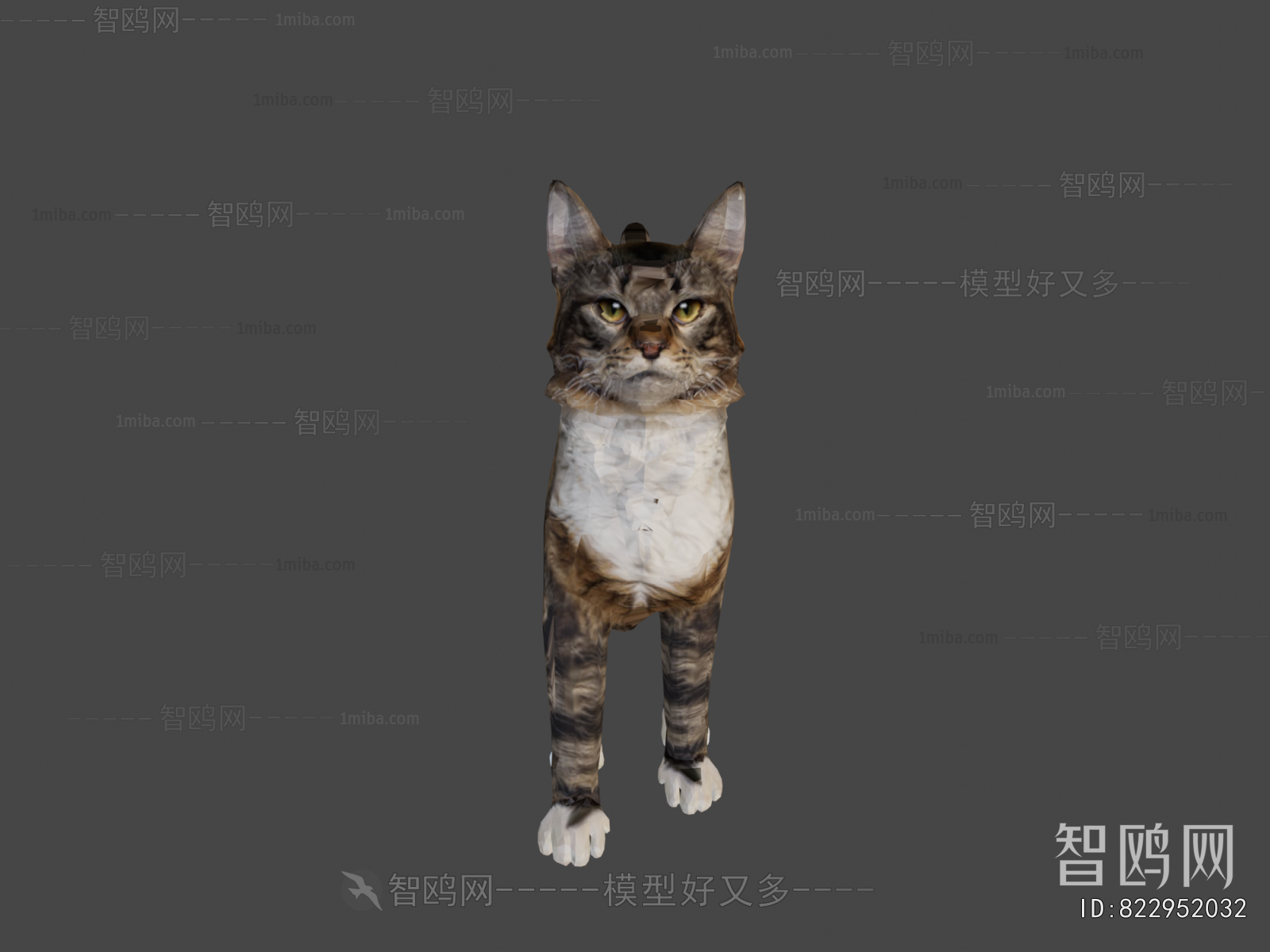 Modern Animal Cat