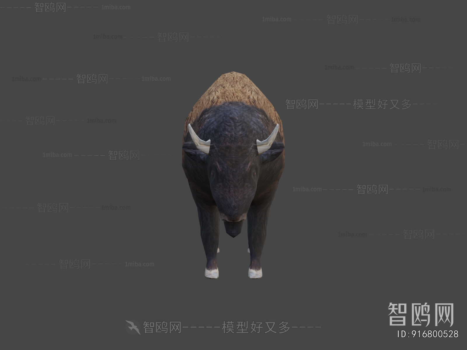 Modern Animal