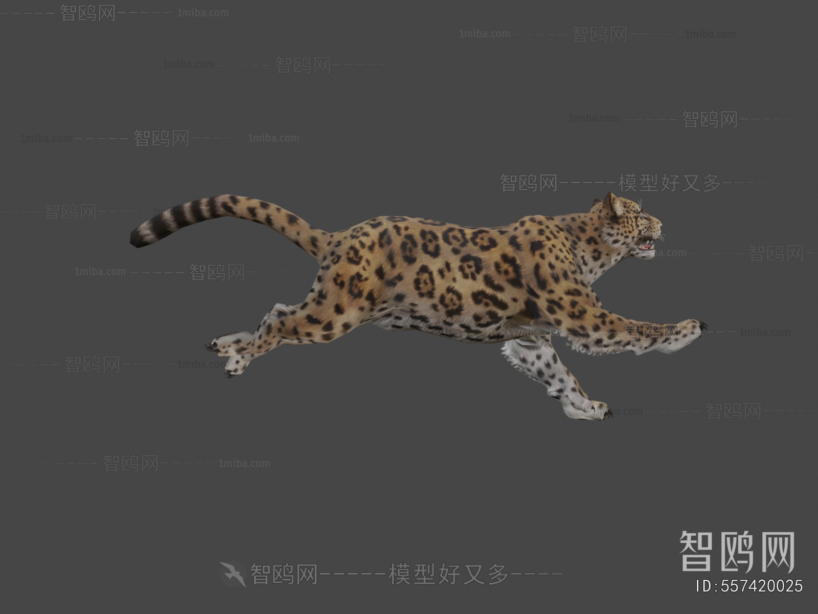 Modern Animal