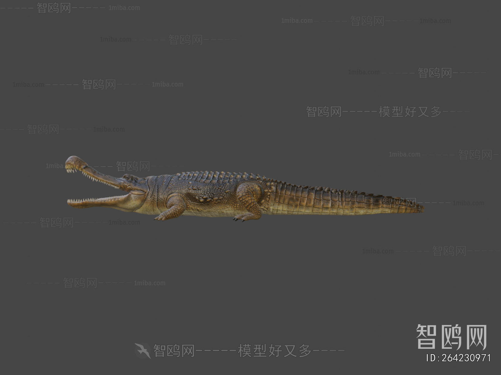 Modern Reptile