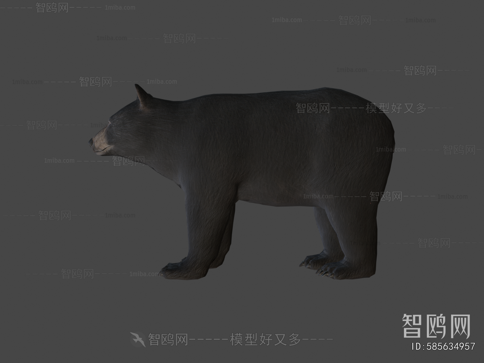 Modern Mammal