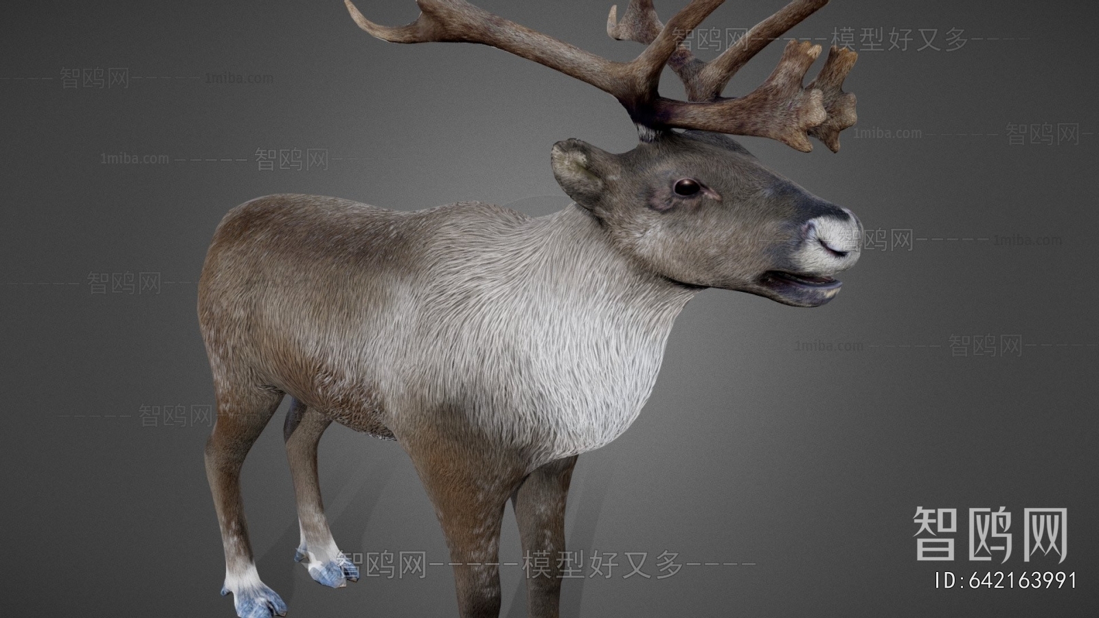 Modern Mammal