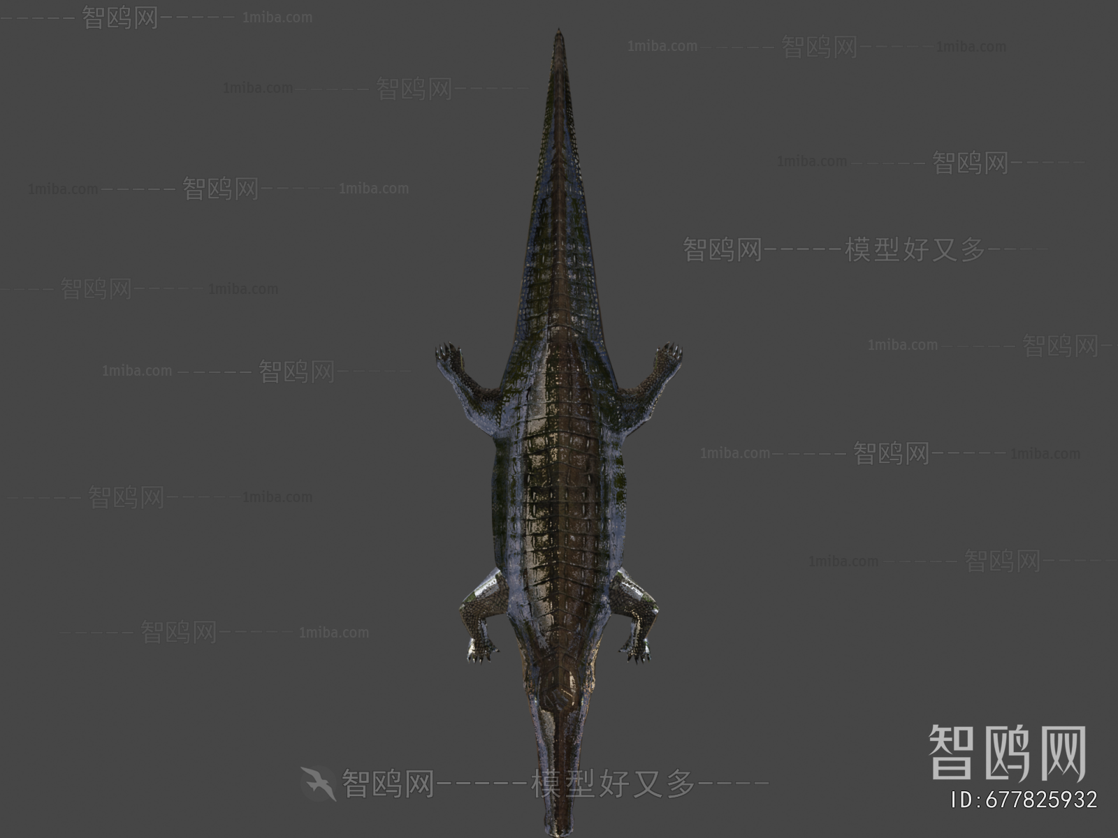 Modern Animal