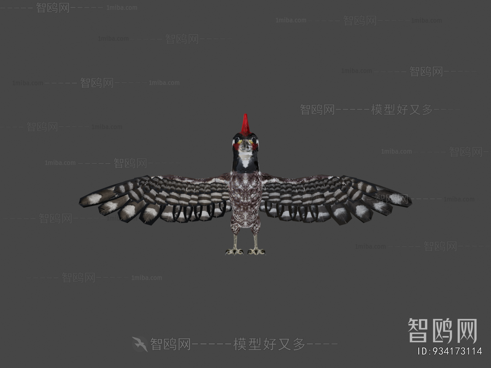 Modern Animal