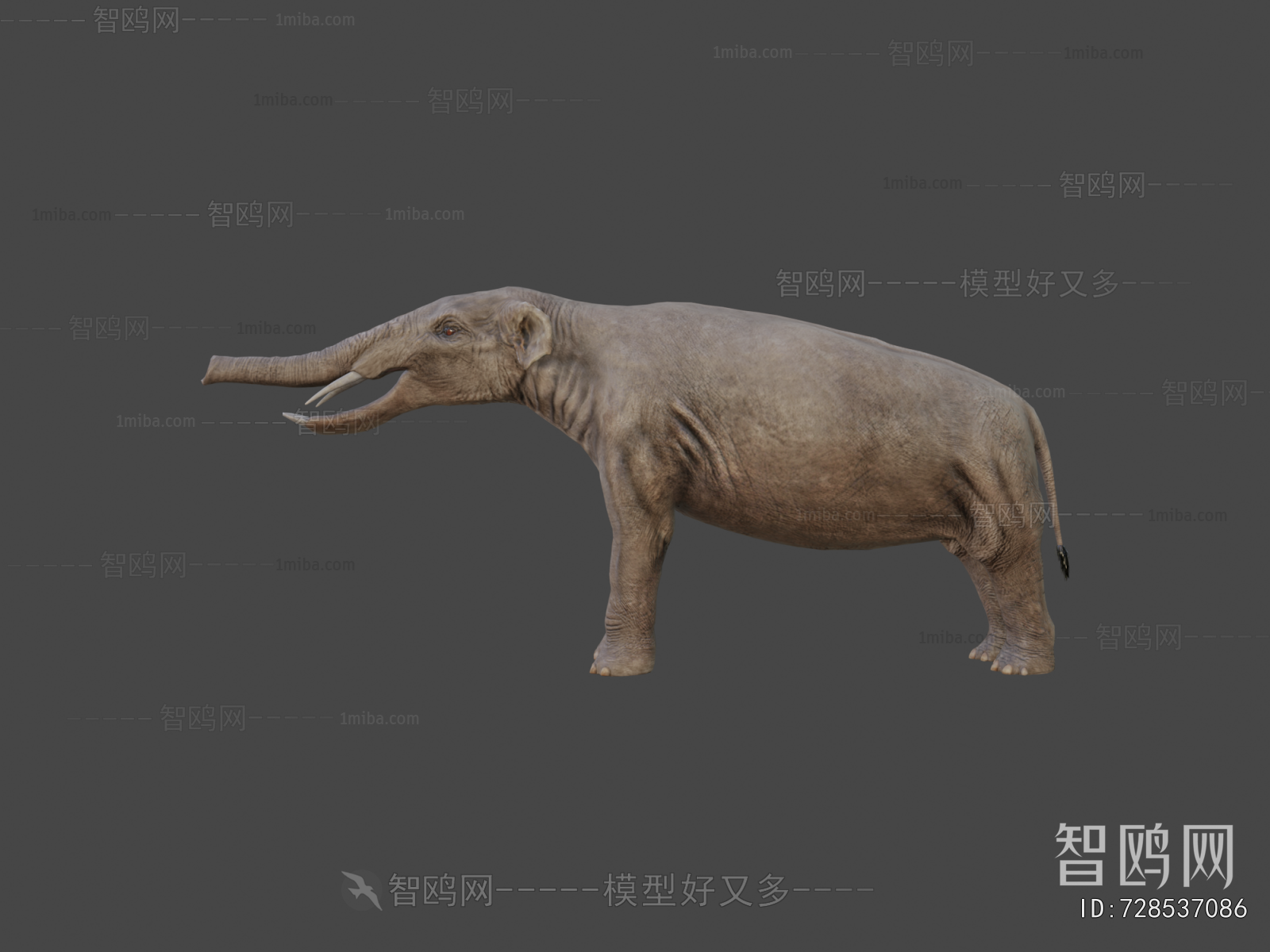 Modern Mammal