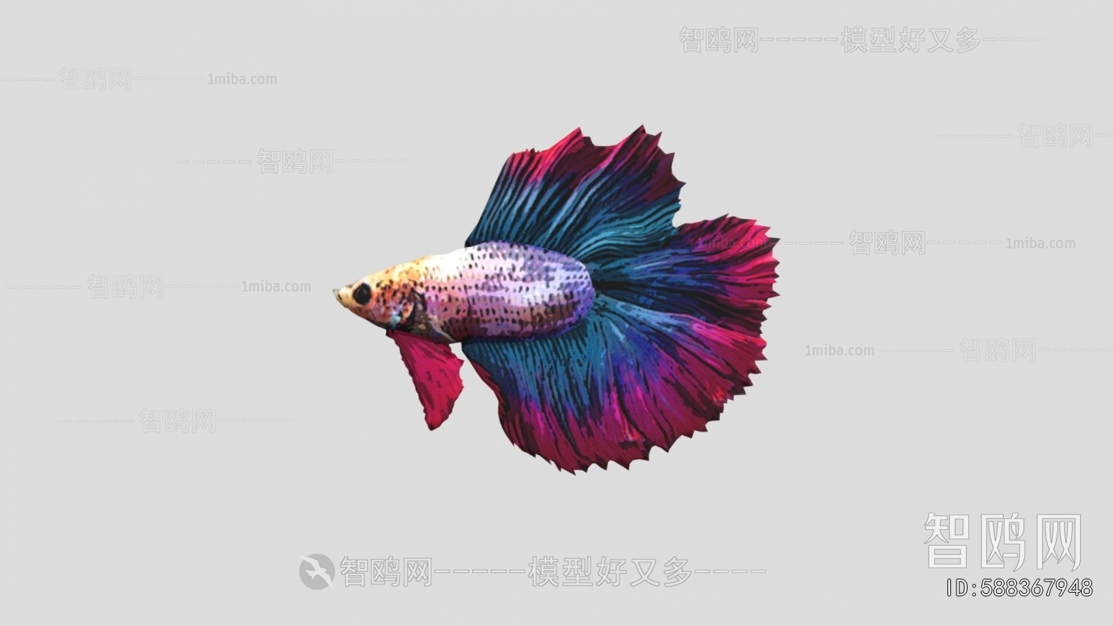 Modern Animal