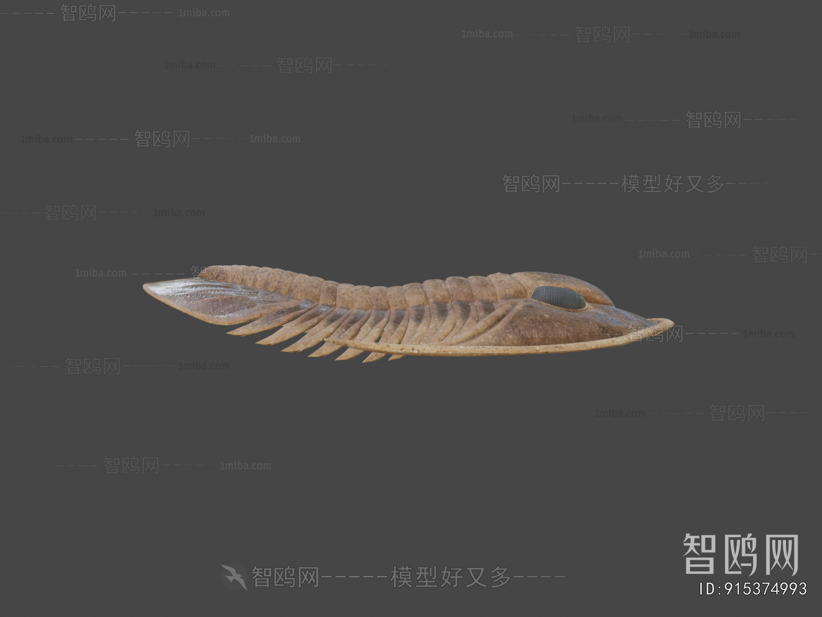 Modern Other Animals