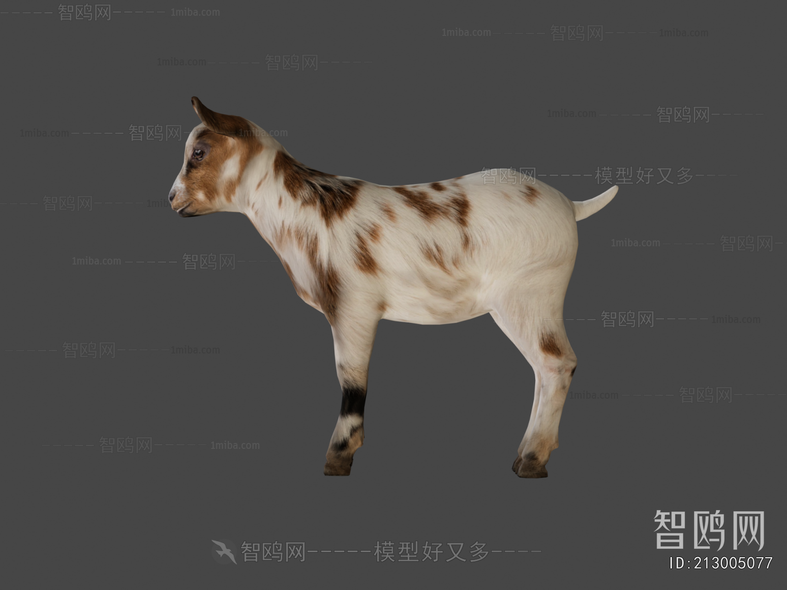 Modern Mammal