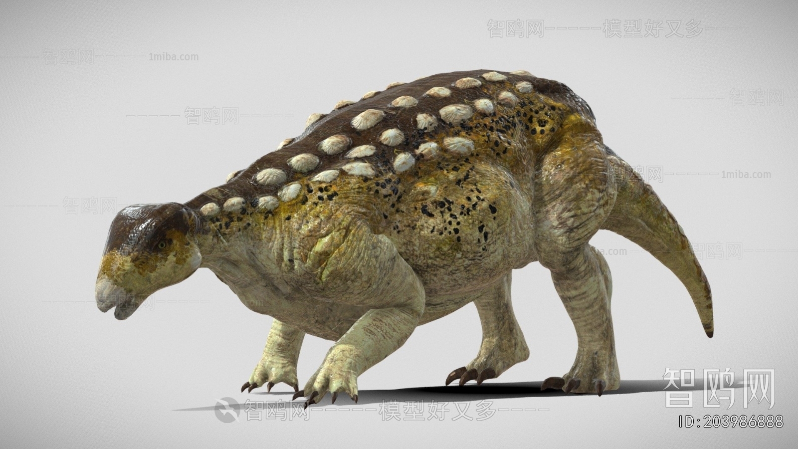Modern Animal