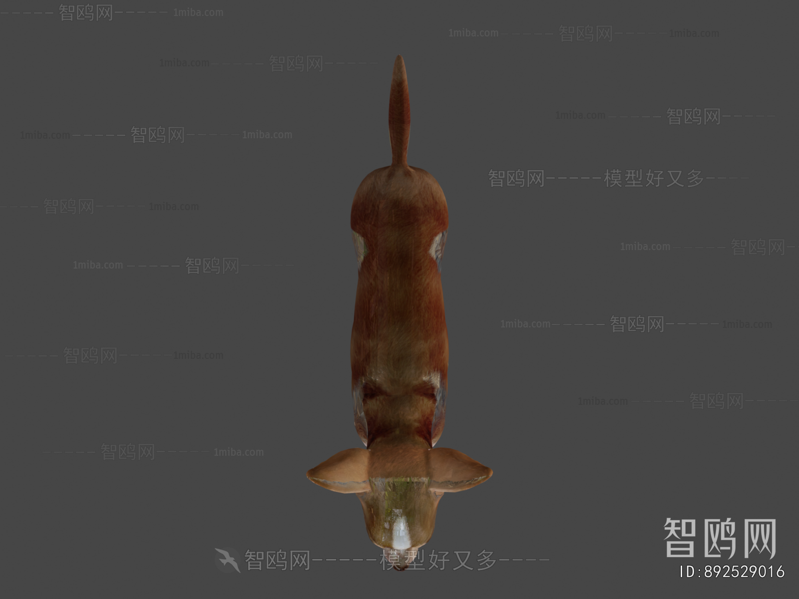Modern Animal Dog