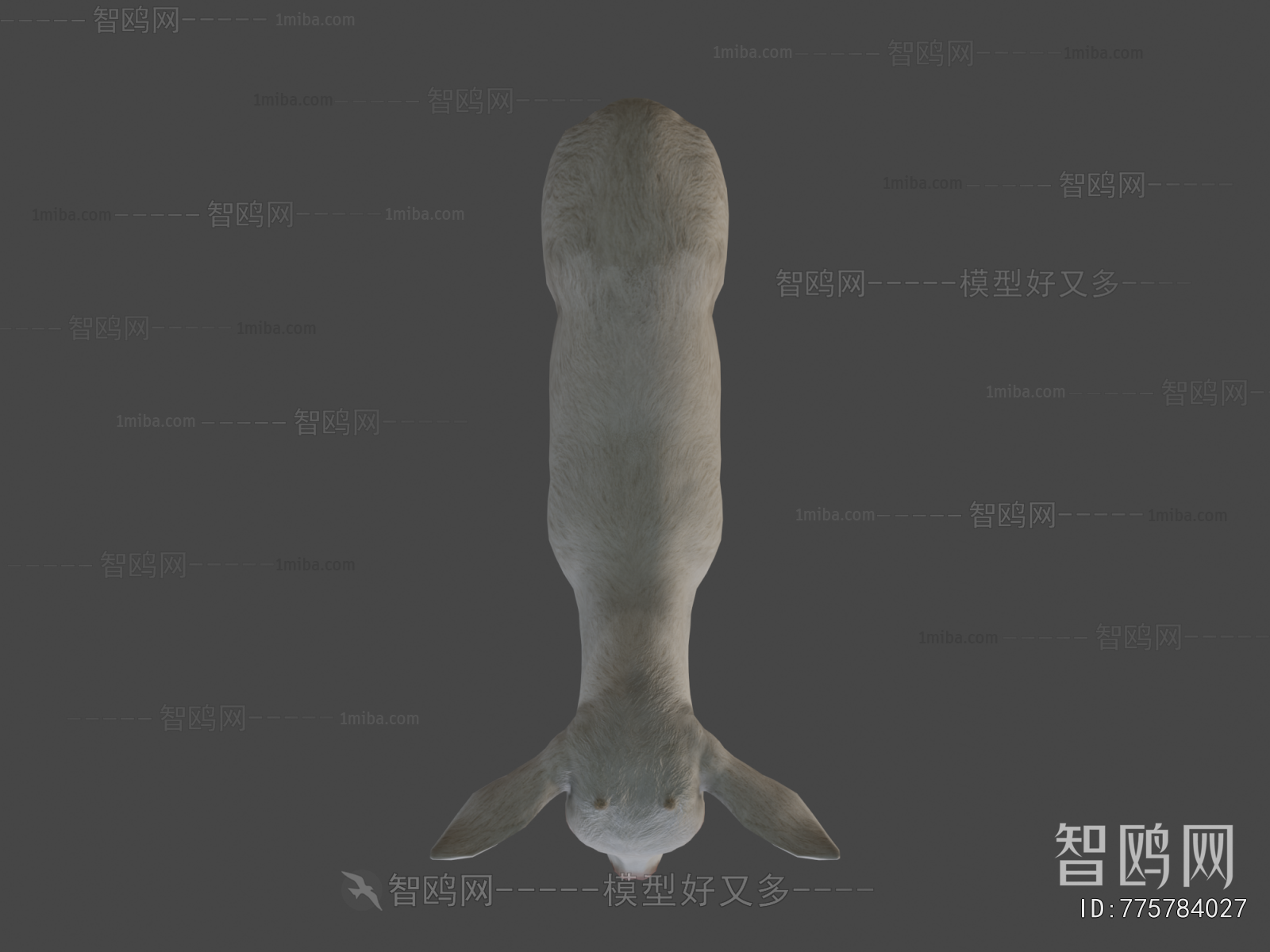 Modern Mammal