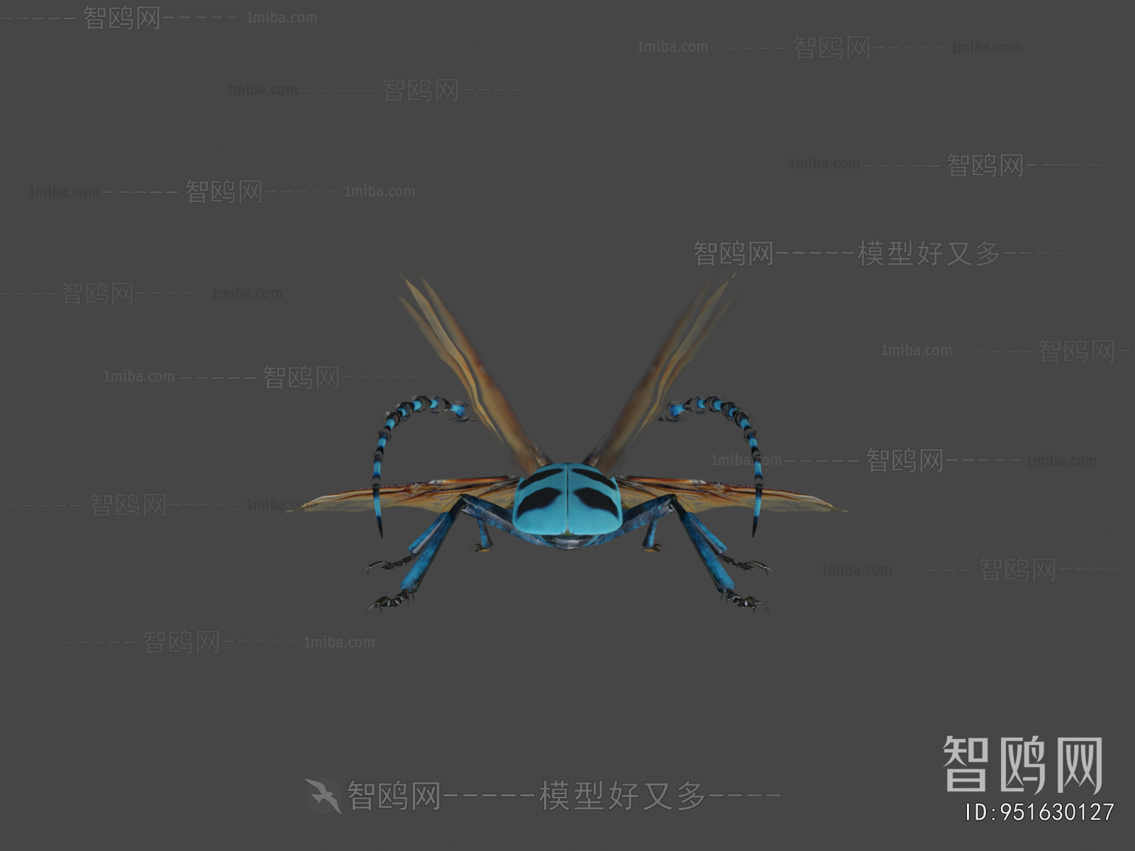 Modern Animal