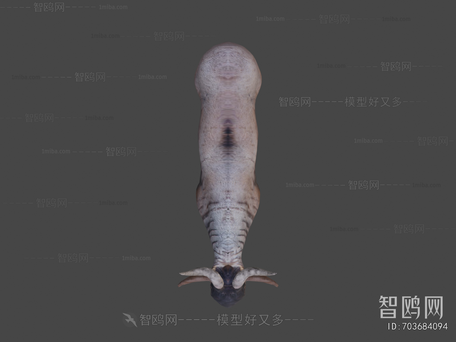 Modern Animal