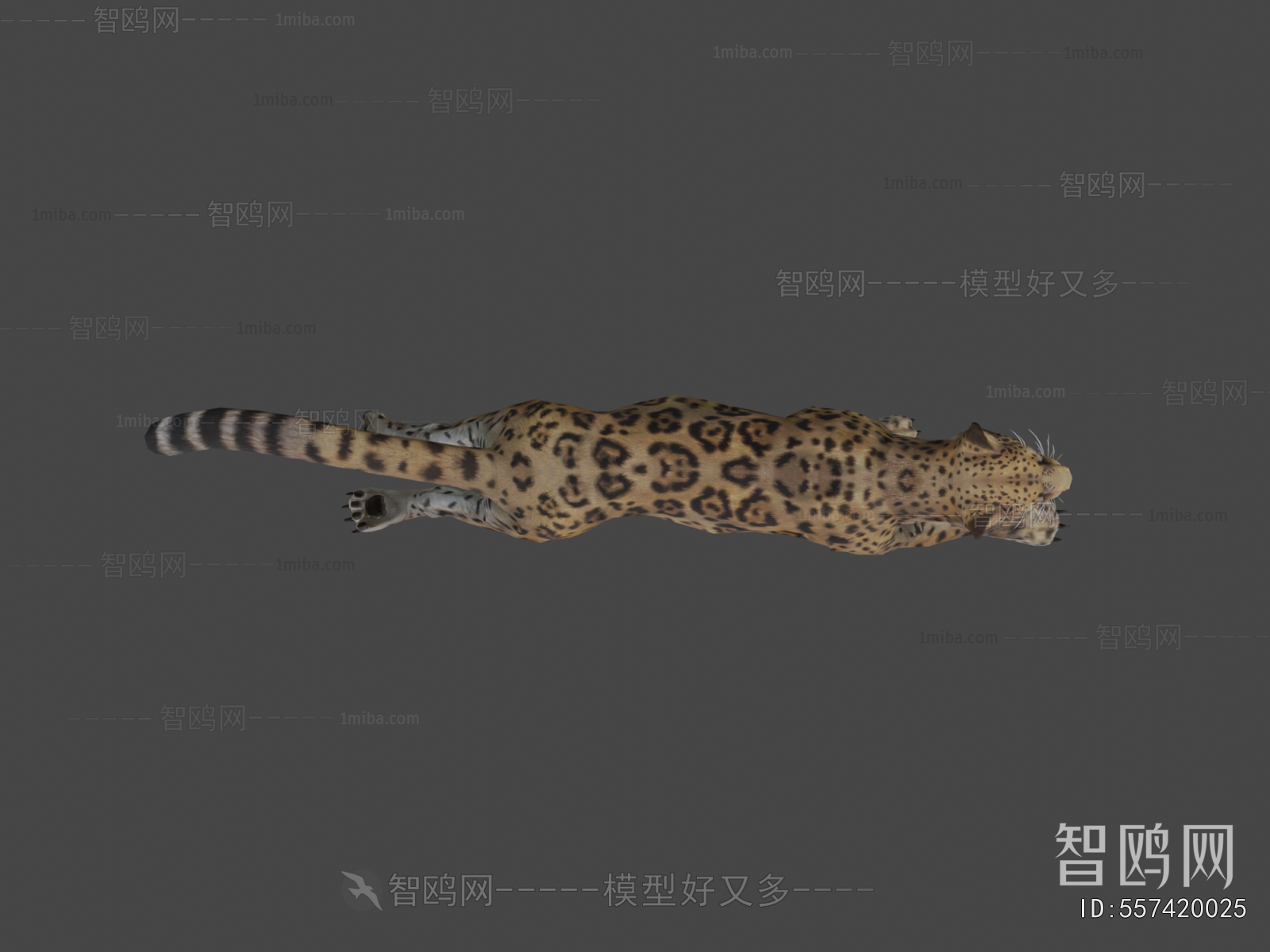 Modern Animal