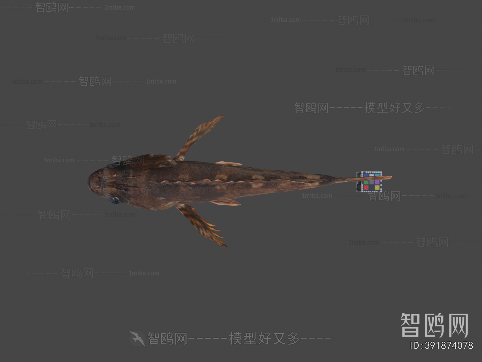 Modern Animal