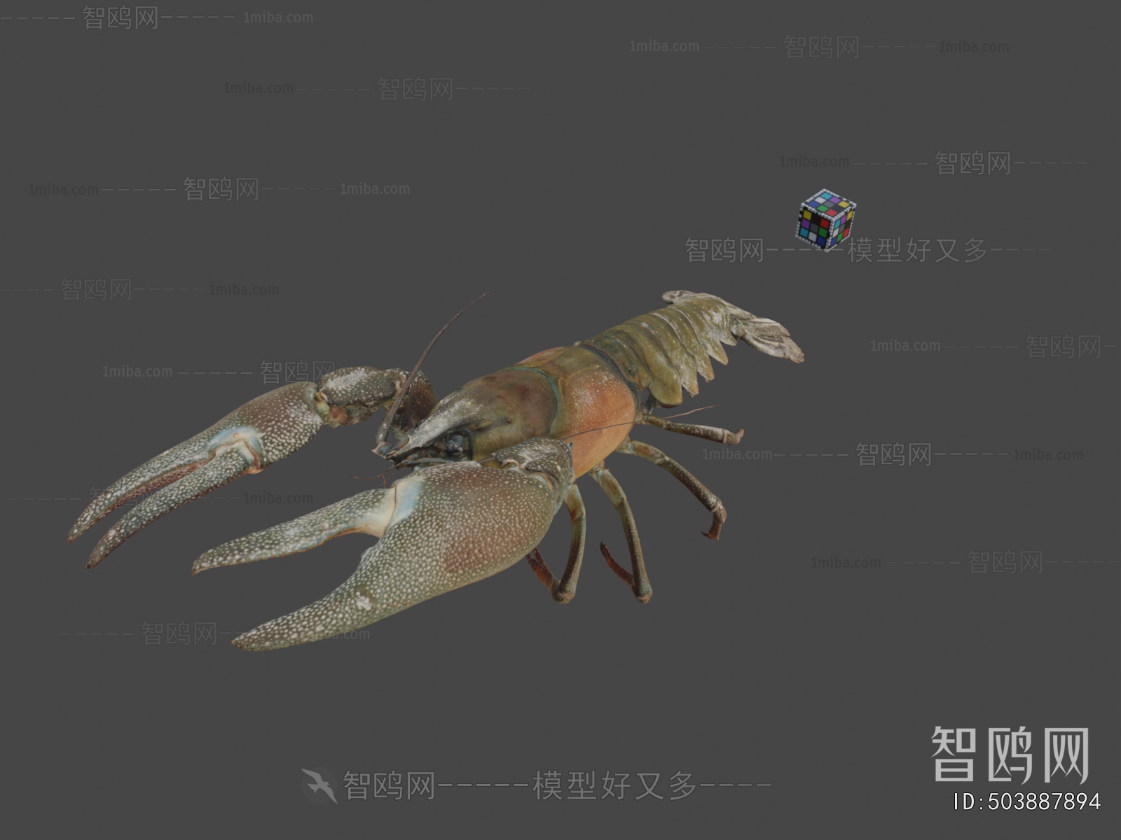 Modern Animal