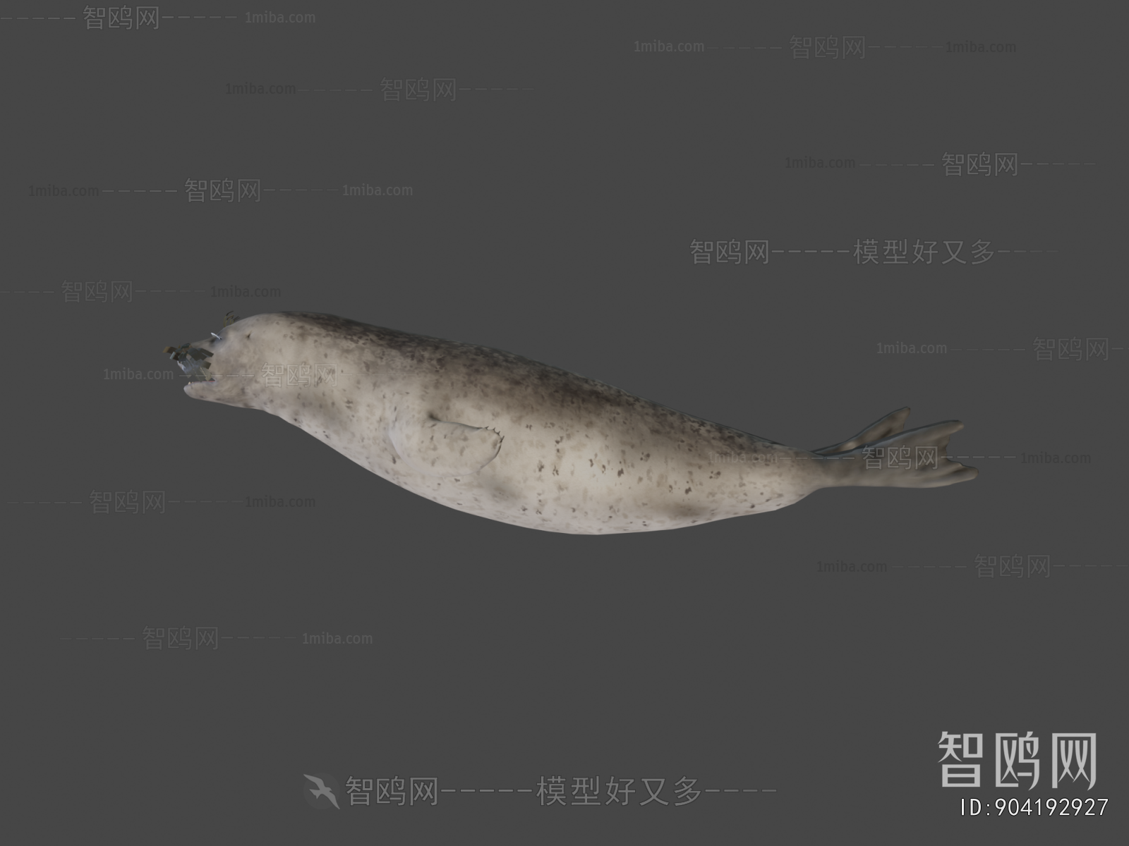 Modern Mammal