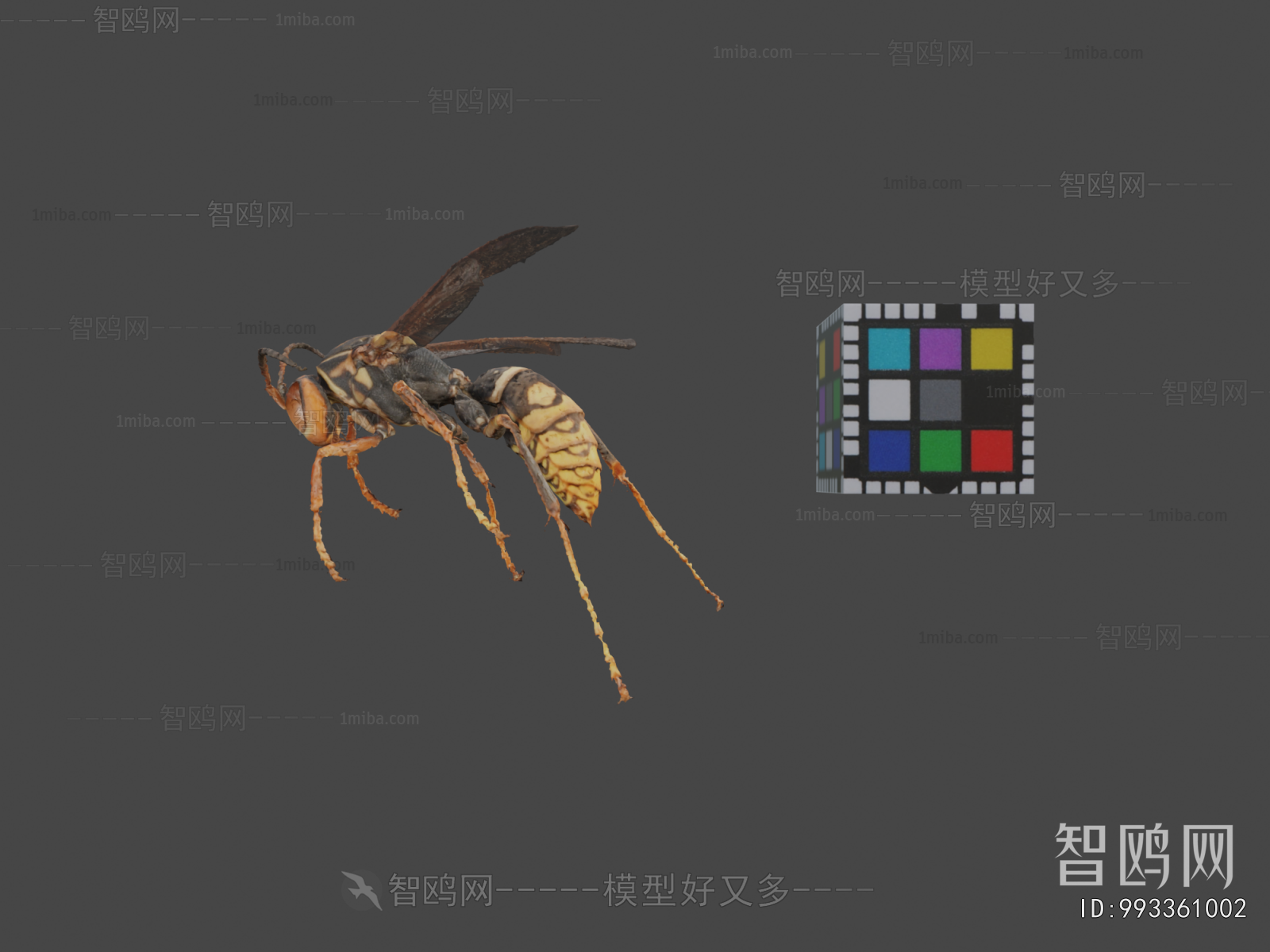 Modern Animal