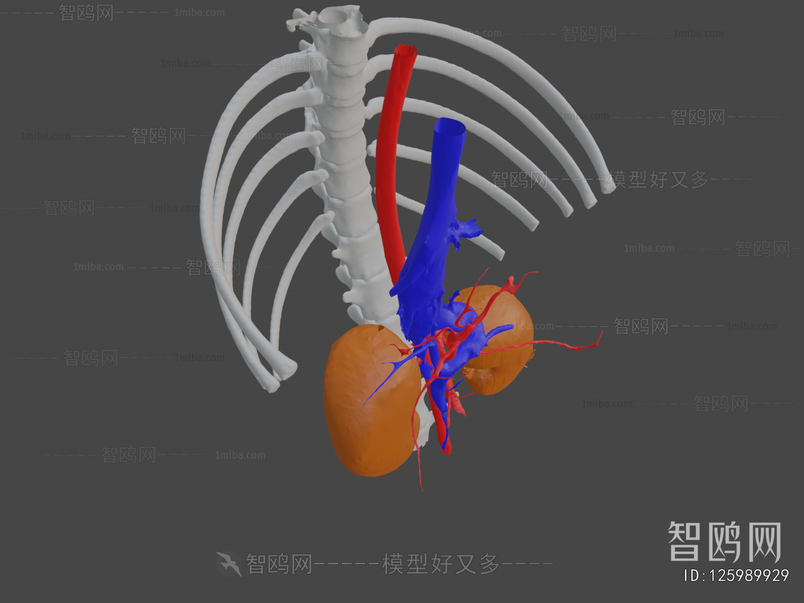 Modern Medical Equipment