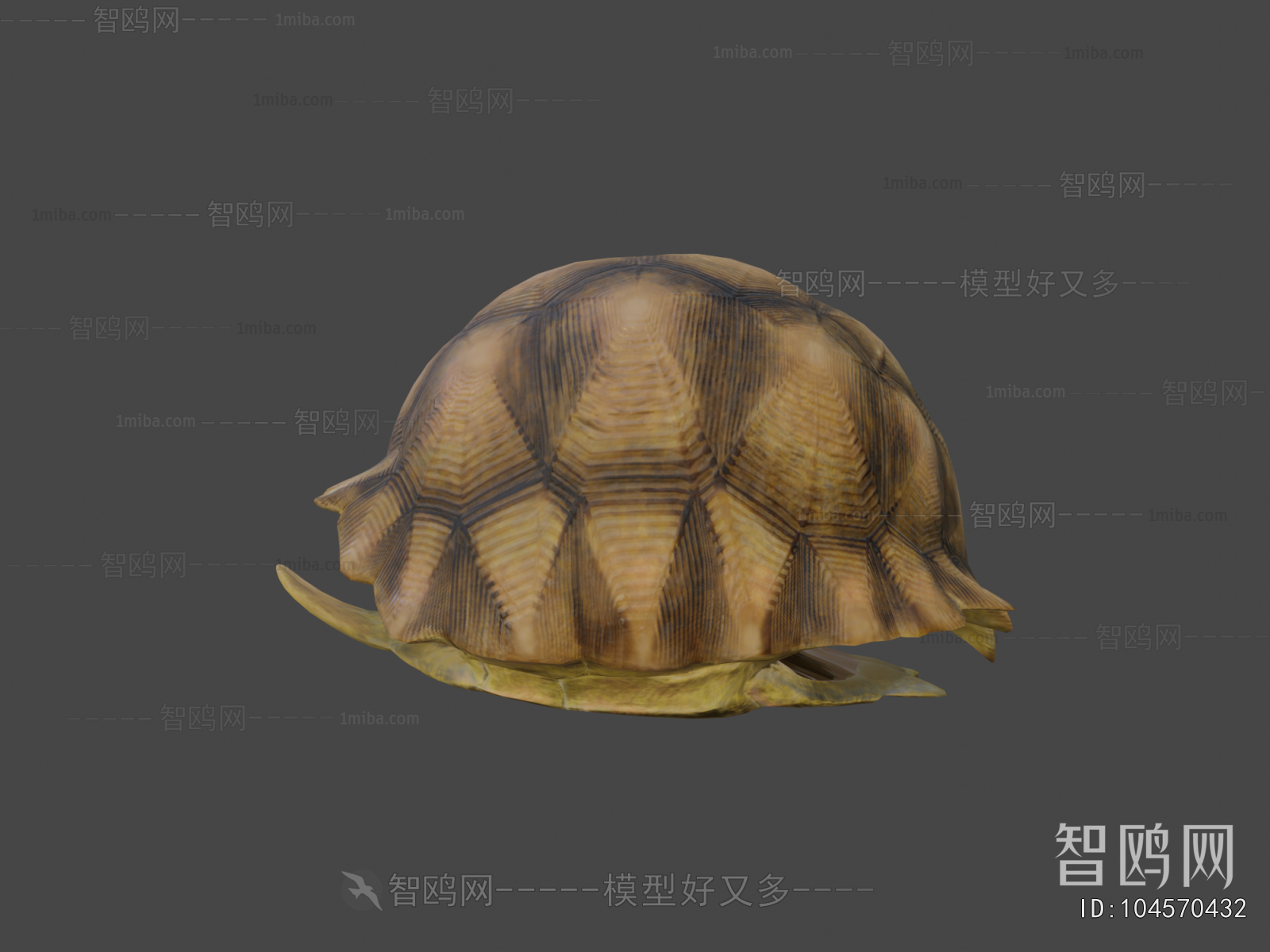 Modern Animal