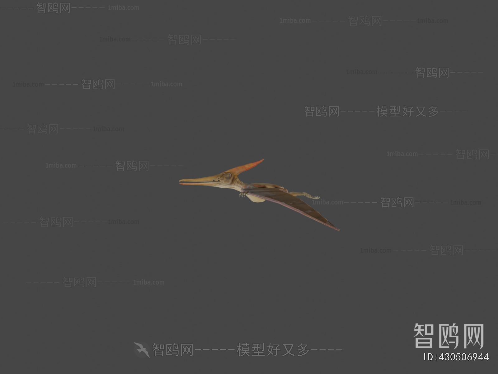 Modern Animal